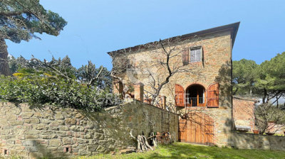 Photo_3