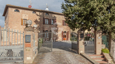 Photo_10