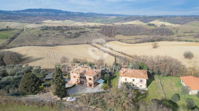 Photo_3