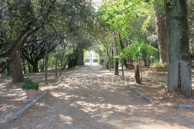 Photo_10