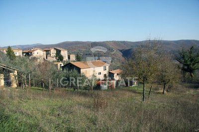 Photo_3