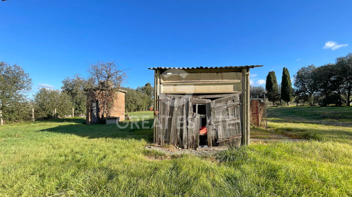 Image No.20-4 Bed Country House for sale