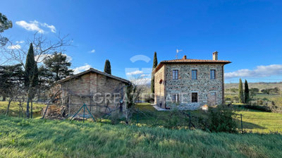 Photo_4