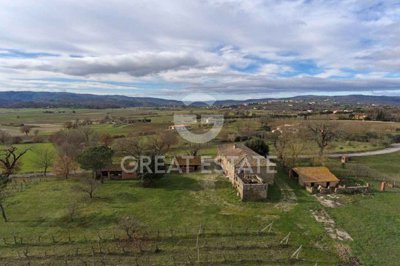 Photo_14
