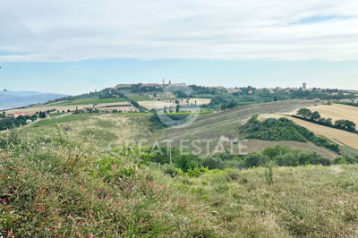 Photo_9