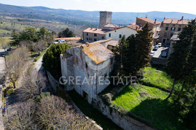 Photo_3