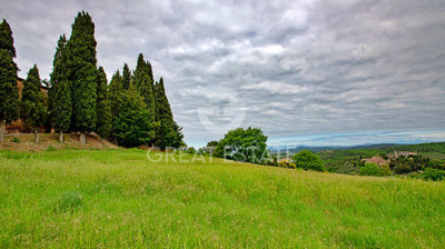 Photo_15