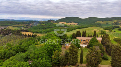 Photo_7
