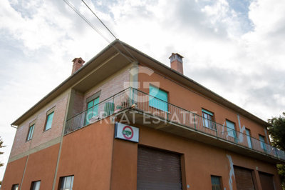 Photo_4