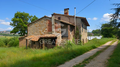 Photo_2