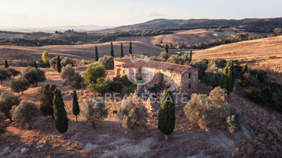 Photo_1