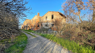 Photo_5