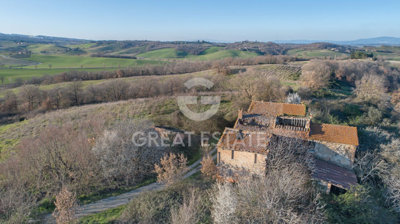 Photo_4