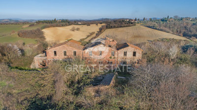 Photo_6