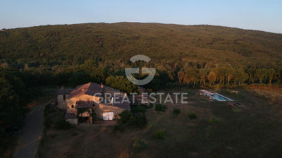 Photo_1