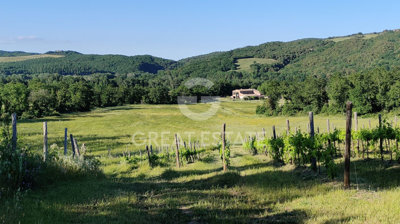 Photo_2