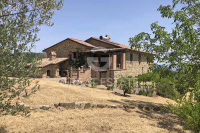 Photo_4