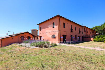 Photo_3
