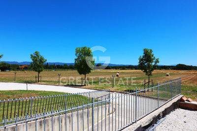 Photo_8