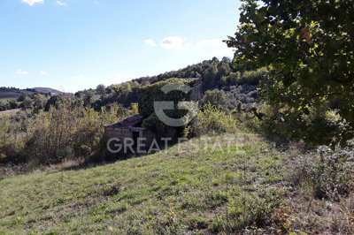 Photo_2