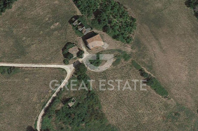 Photo_3