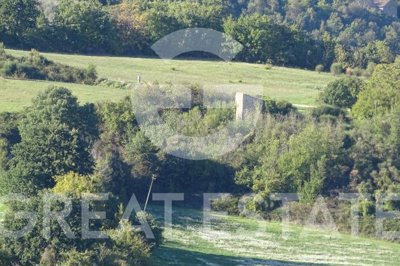 Photo_5
