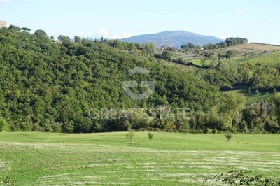 Photo_6
