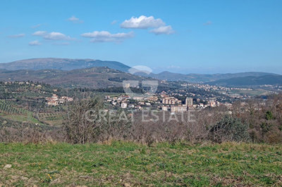 Photo_10