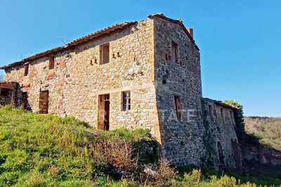 Photo_4