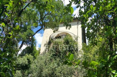 Photo_9