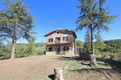 Photo_7