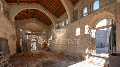 Photo_5