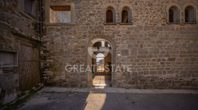 Photo_7