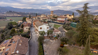 Photo_4