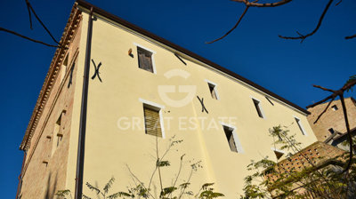 Photo_2