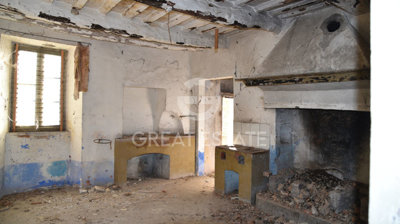Photo_3