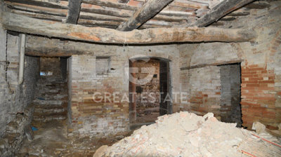 Photo_5