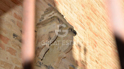 Photo_6