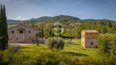 Photo_3