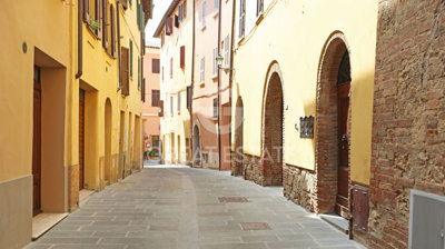 Photo_3