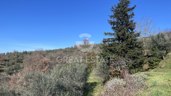 Image No.24-Country House for sale