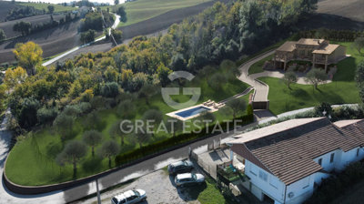 Photo_3