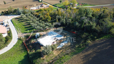 Photo_4