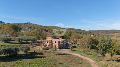 Photo_3