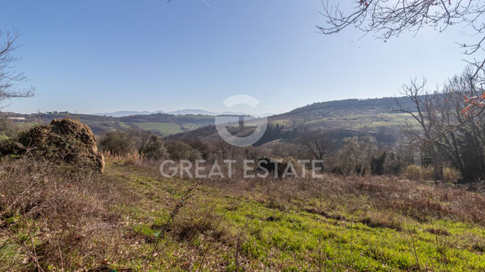 Image No.20-3 Bed Country House for sale