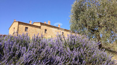 Photo_3