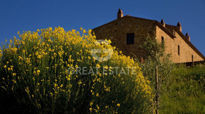 Photo_7