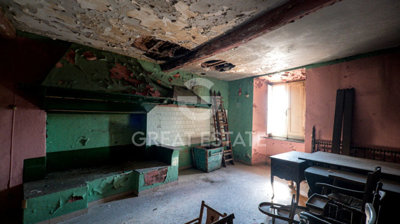 Photo_5