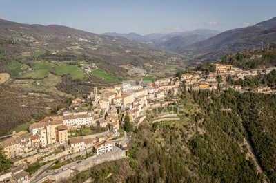 Photo_7