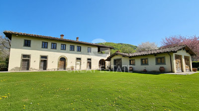 Photo_1